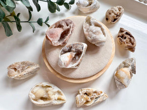 Spiralite Fossilized Druzy Seashell || India