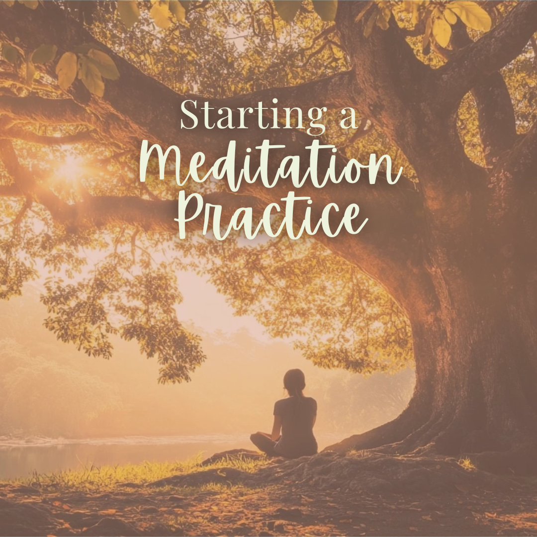 Starting a Meditation Practice - Friday, March 28 5:30-6:45pm