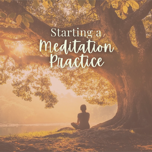 Starting a Meditation Practice - Friday, March 28 5:30-6:45pm