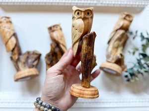 Suar Wood Hand Carved Owl on Branch Statue || Indonesia