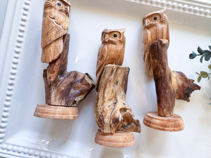 Suar Wood Hand Carved Owl on Branch Statue || Indonesia