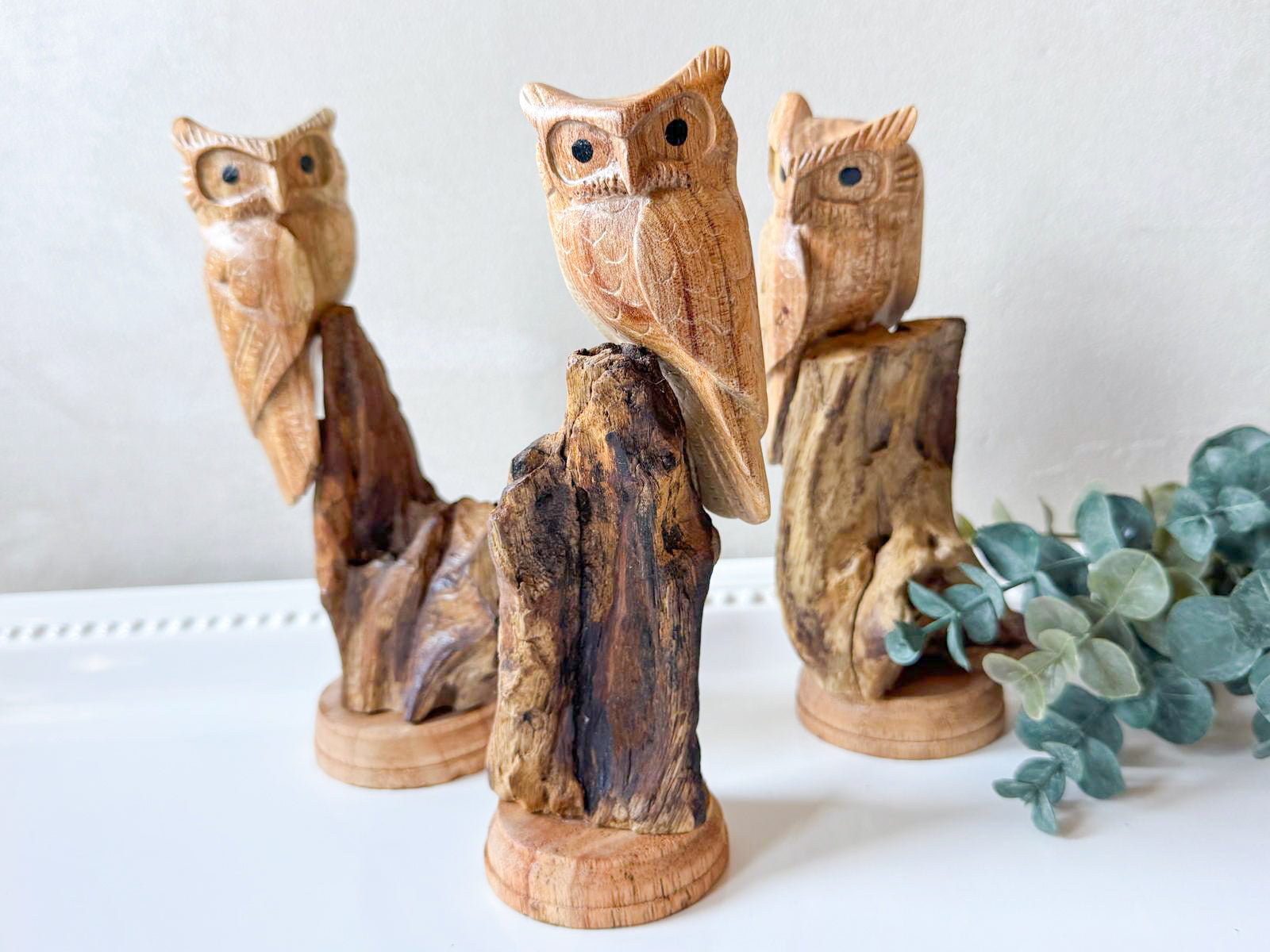 Suar Wood Hand Carved Owl on Branch Statue || Indonesia