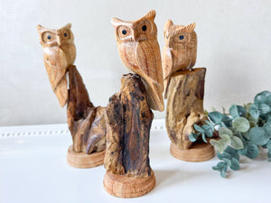 Suar Wood Hand Carved Owl on Branch Statue || Indonesia