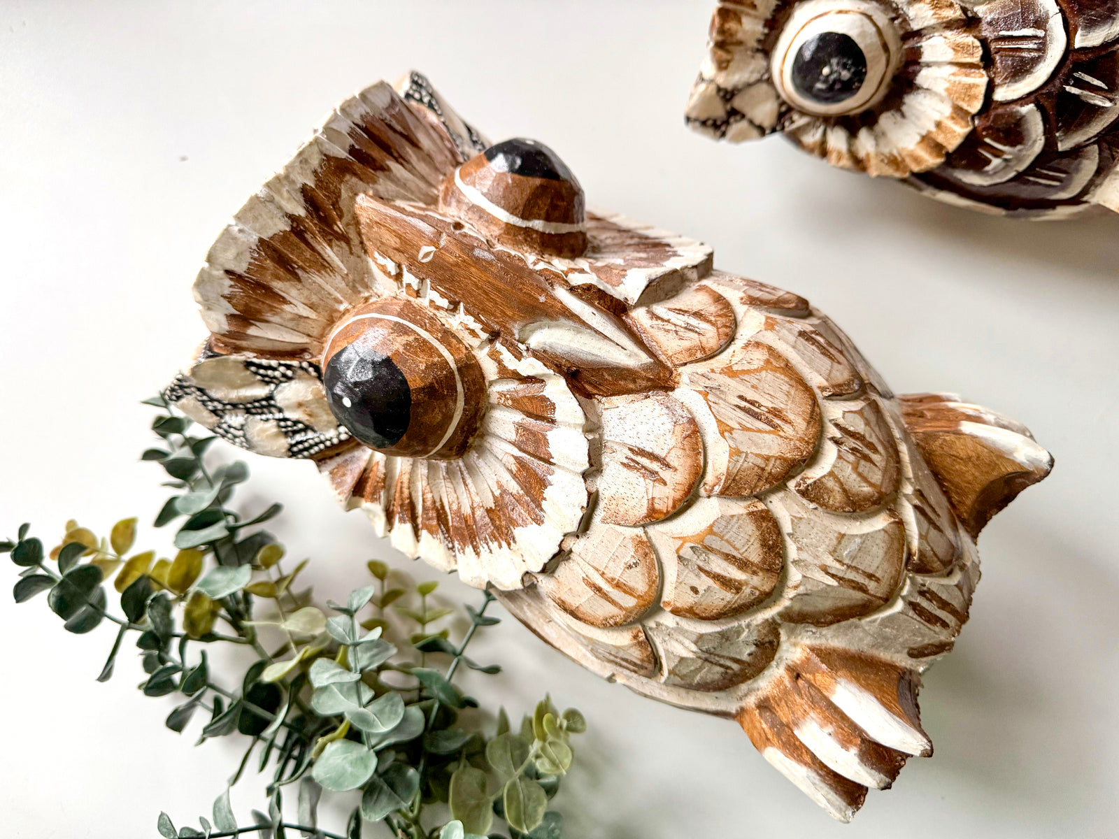Suar Wood Hand Carved Wide Eyed Owl Statue || Indonesia