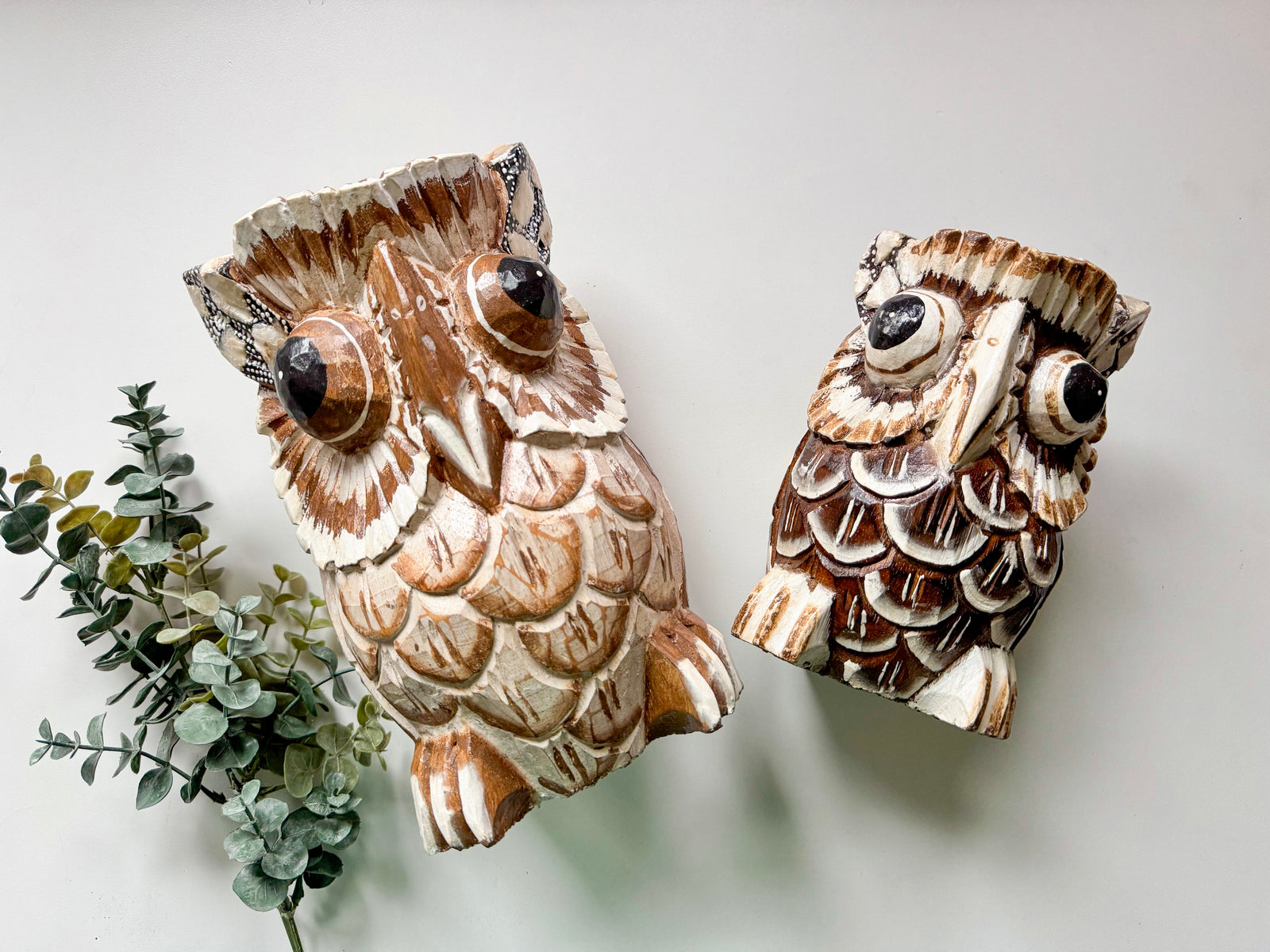 Suar Wood Hand Carved Wide Eyed Owl Statue || Indonesia