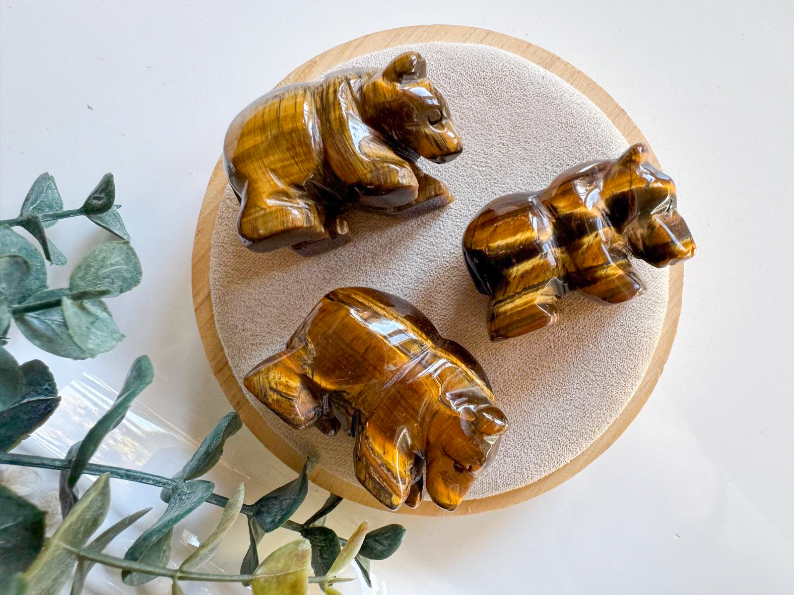 Tiger Eye Bear Carving || 1.5"