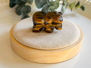 Tiger Eye Bear Carving || 1.5"