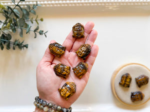 Tiger Eye Buddha Carving || 1"