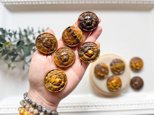 Tiger Eye Lion Medallion Carving || 1.5"