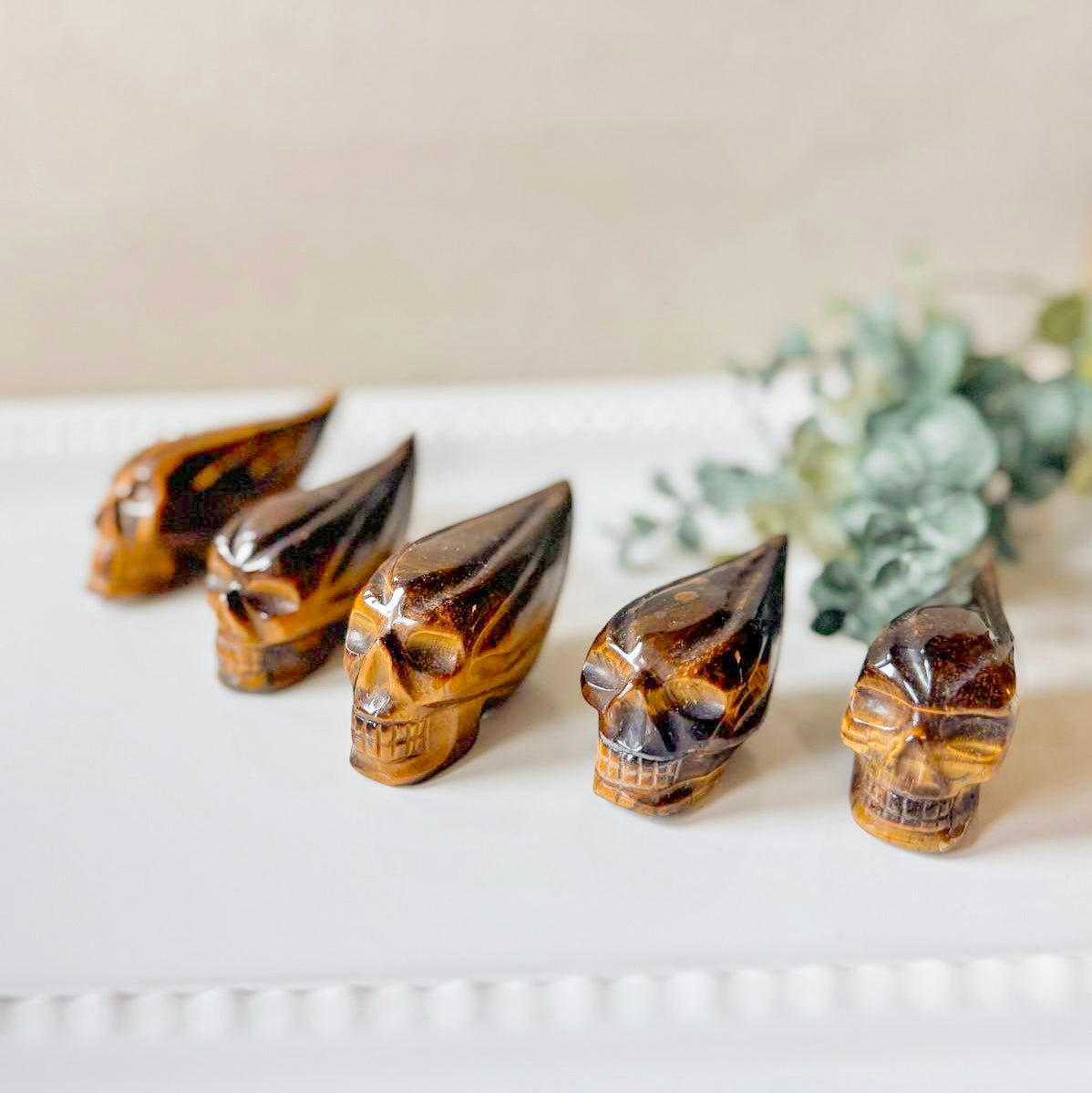 Tiger Eye Traveler Skull || Brazil