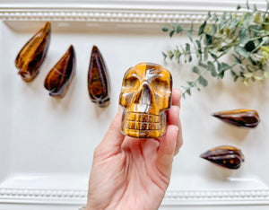 Tiger Eye Traveler Skull || Brazil