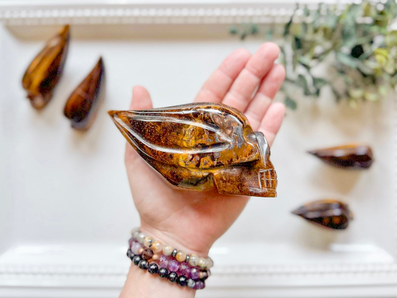 Tiger Eye Traveler Skull || Brazil
