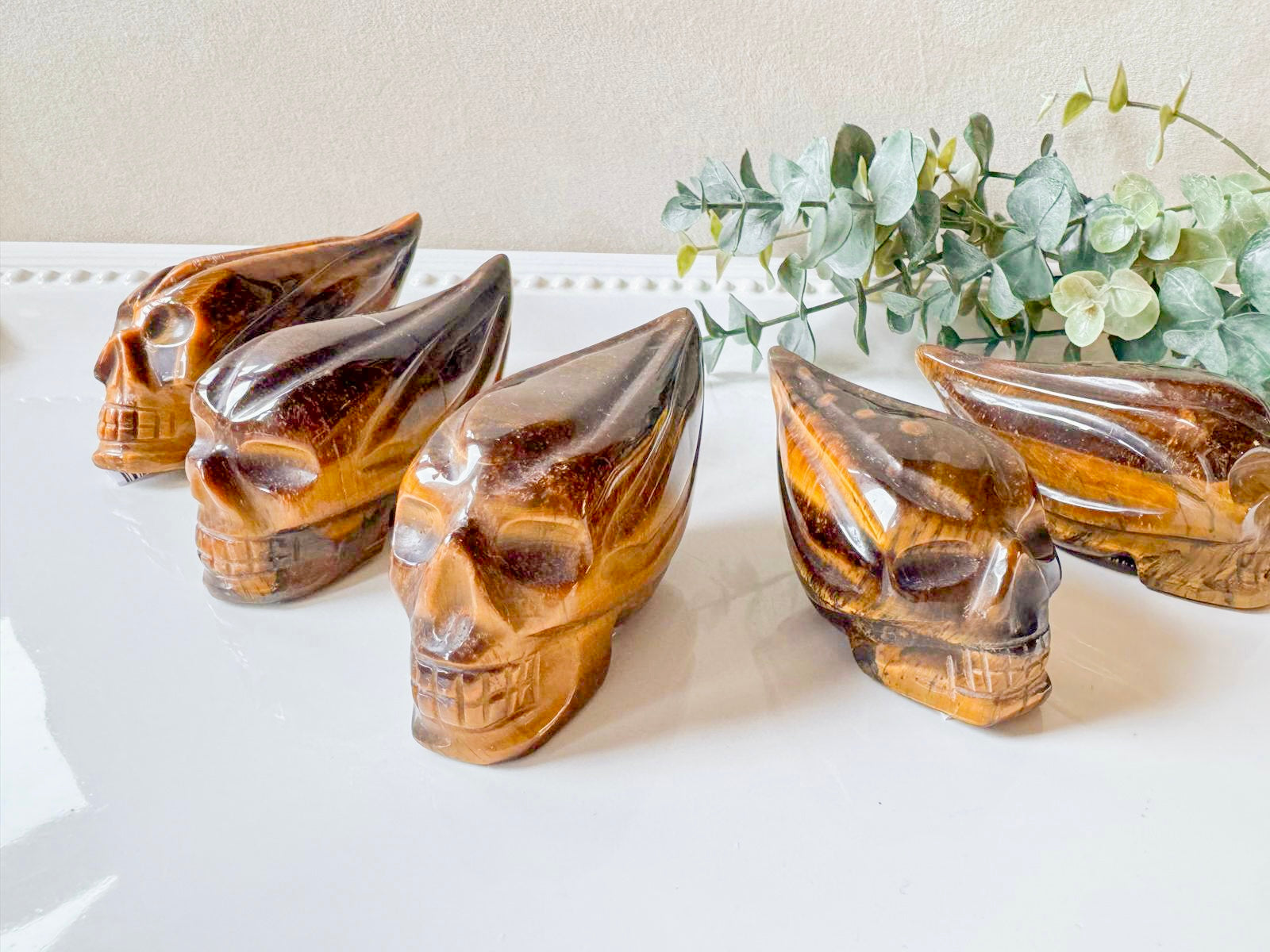 Tiger Eye Traveler Skull || Brazil