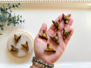 Tiger Eye Wolf Carving || 1.25"