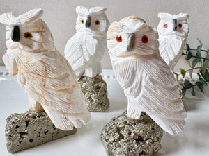 White Calcite Owl on Pyrite Base Small || Peru