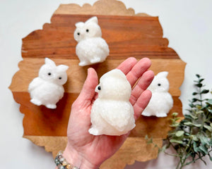 White Jade Owl Carving