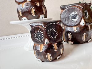 Wooden Owl Set || Indonesia