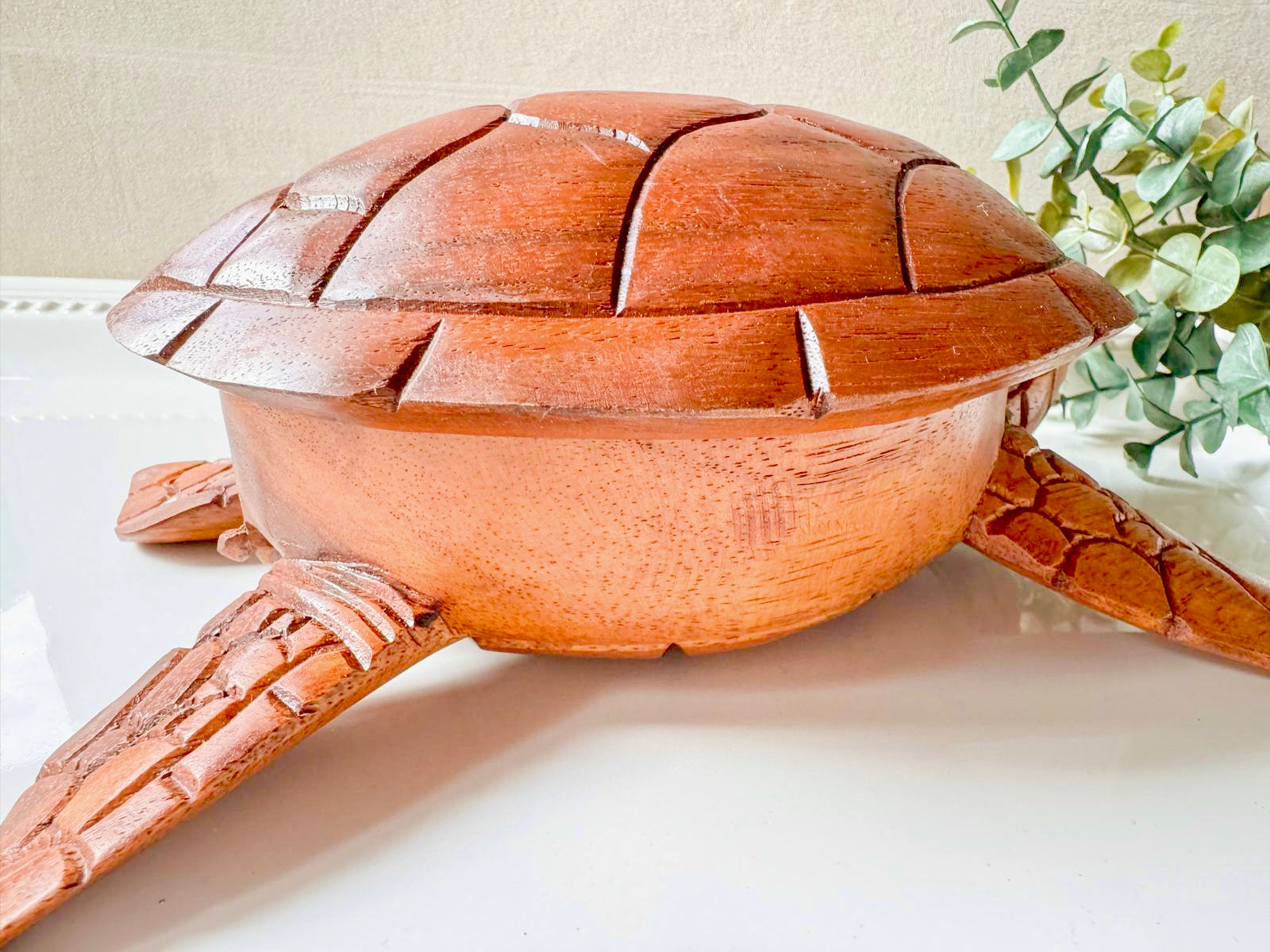 Wooden Turtle Trinket Box || Bali