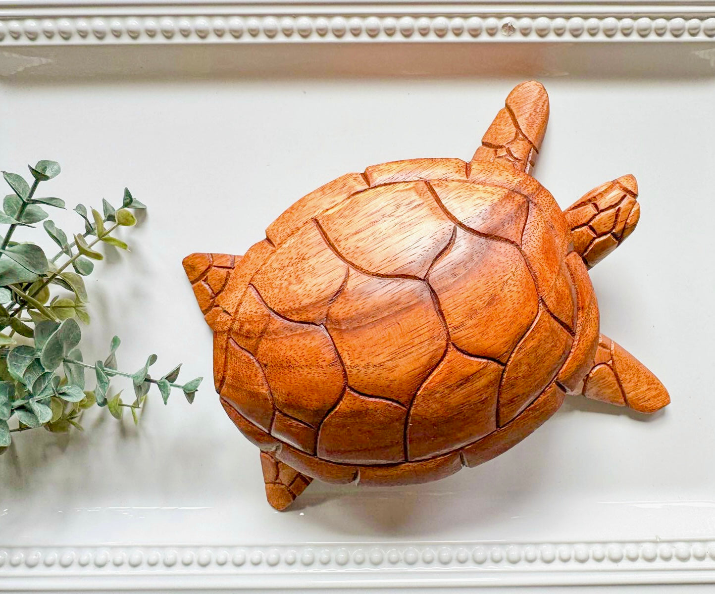 Wooden Turtle Trinket Box || Bali