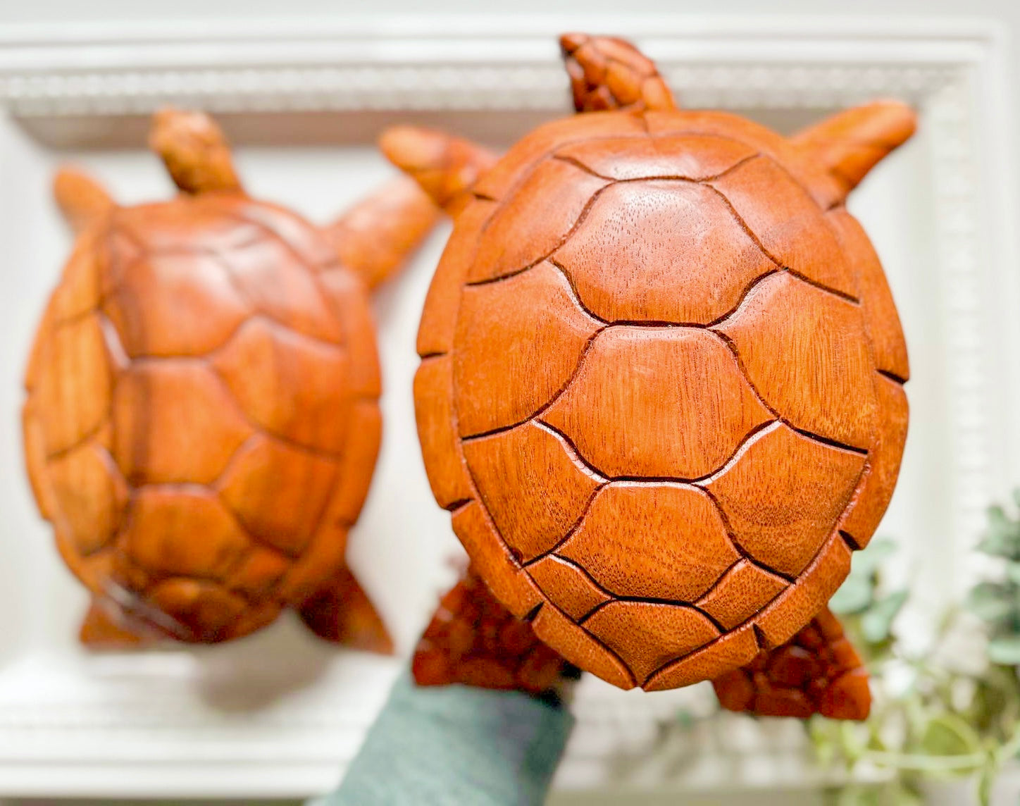 Wooden Turtle Trinket Box || Bali