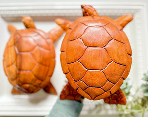Wooden Turtle Trinket Box || Bali