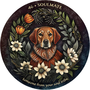 Arcana Folia Oracle Deck: 50-Card Round Deck, Nature-Inspired Artwork, Channel Plant Energy, Divination and Inspiration, Includes 72-page Illustrated Guidebook || Nora Paskaleva