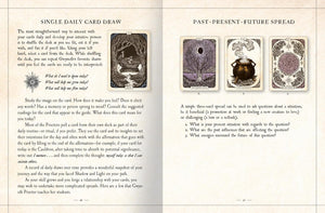 The Black Bird Oracle Deck: A 52-Card Deck and Guidebook || Deborah Harkness