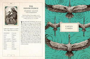The Black Bird Oracle Deck: A 52-Card Deck and Guidebook || Deborah Harkness