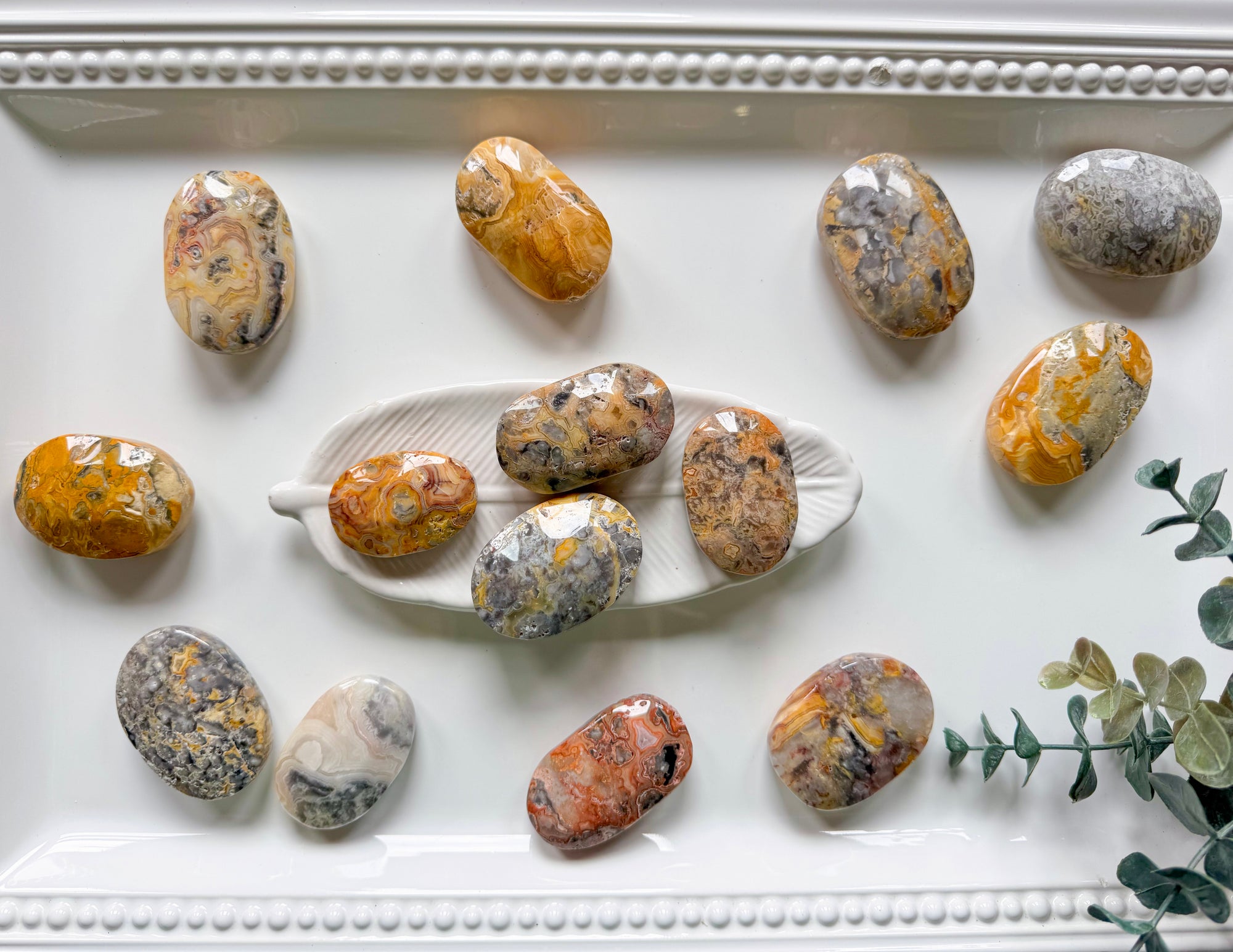 crazy lace agate palm stone