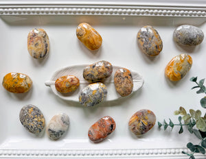 crazy lace agate palm stone
