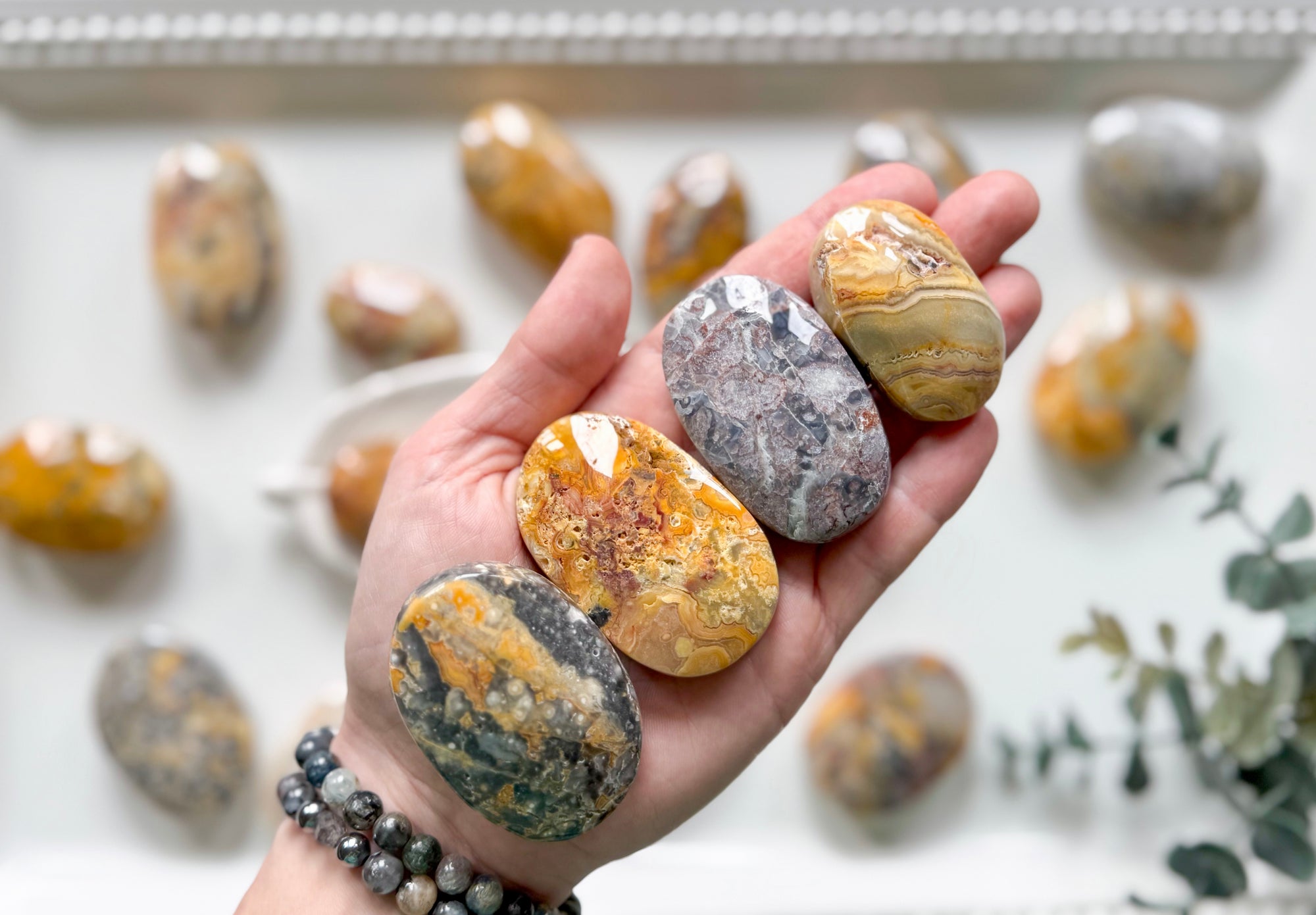 crazy lace agate palm stone