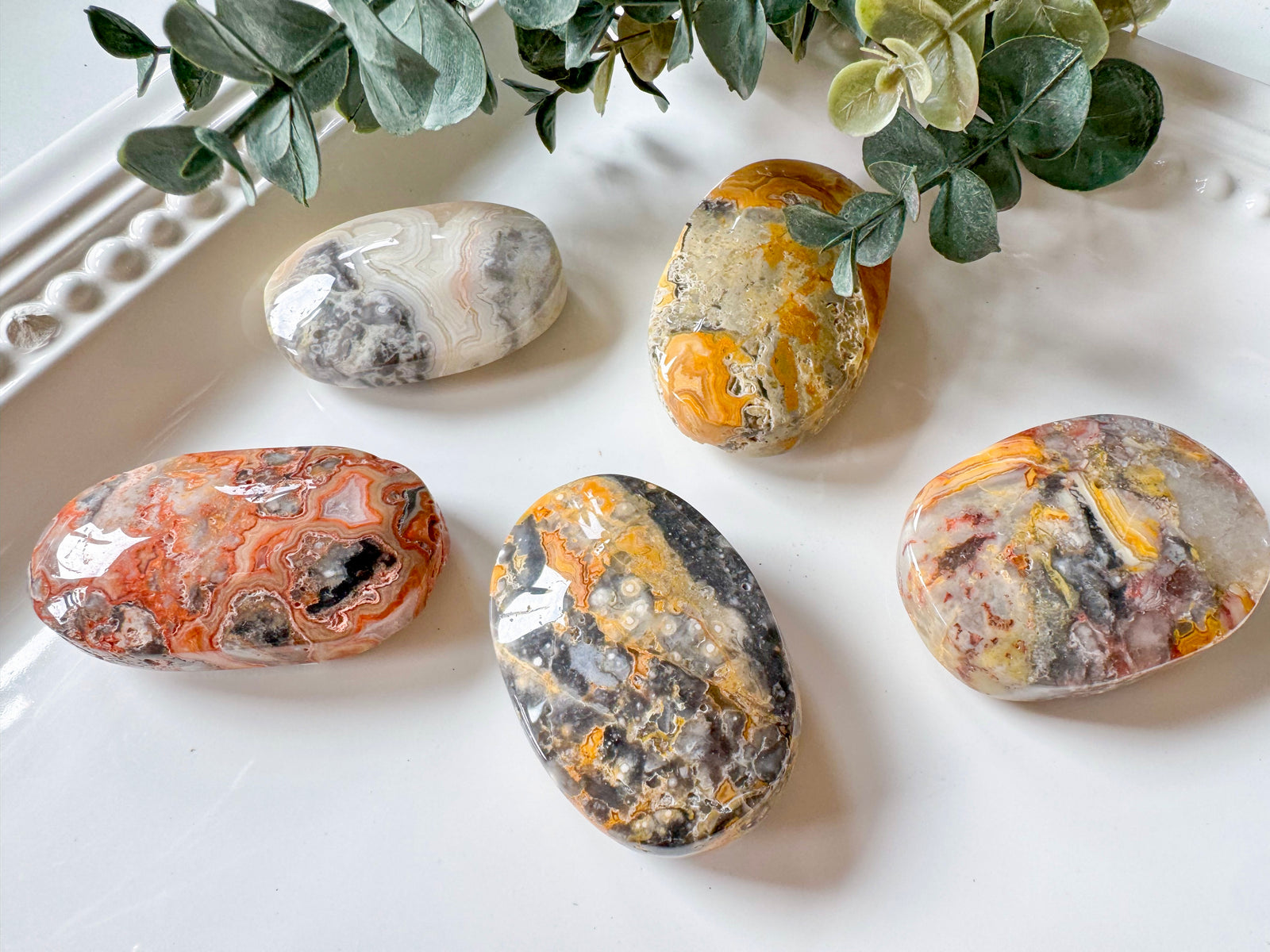 crazy lace agate palm stone