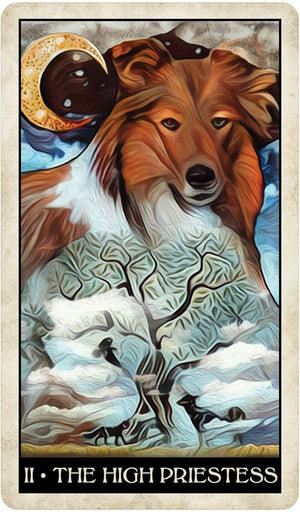 Wise Dog Tarot || MJ Cullinane