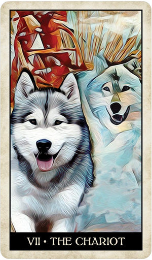 Wise Dog Tarot || MJ Cullinane