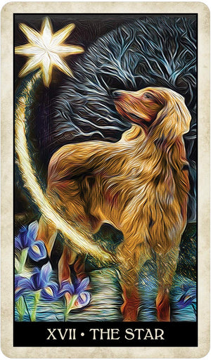 Wise Dog Tarot || MJ Cullinane