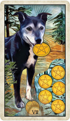 Wise Dog Tarot || MJ Cullinane