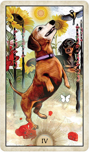 Wise Dog Tarot || MJ Cullinane