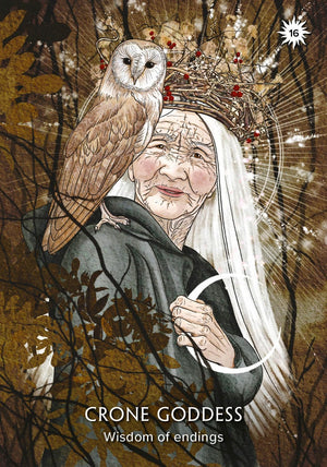 The Earth Guardian Oracle: A 45-Card Deck and Guidebook || Kyle Gray