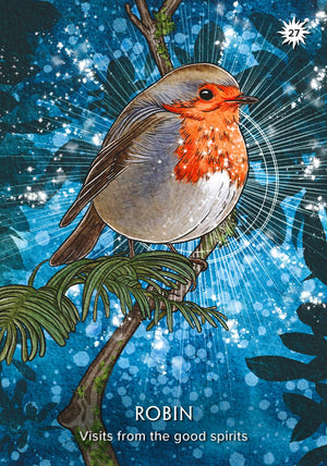The Earth Guardian Oracle: A 45-Card Deck and Guidebook || Kyle Gray