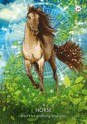 The Earth Guardian Oracle: A 45-Card Deck and Guidebook || Kyle Gray