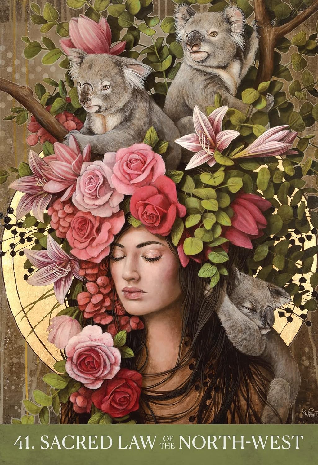 Medicine Heart Oracle: Shamanic Wisdom of the Divine Feminine || Alana Fairchild