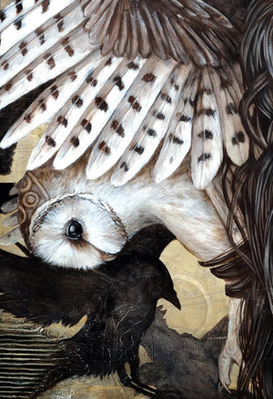 Medicine Heart Oracle: Shamanic Wisdom of the Divine Feminine || Alana Fairchild