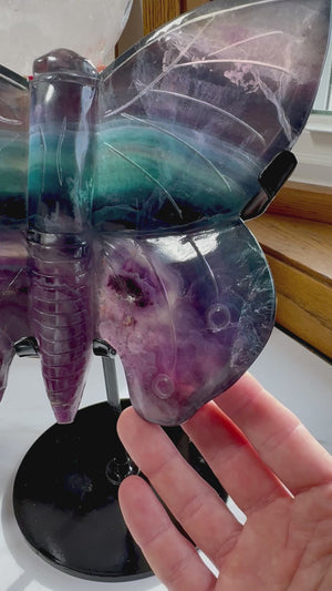 Rainbow Fluorite Butterfly with Custom Metal Stand