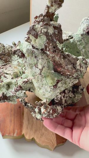 Copper Specimen || Keweenaw Peninsula