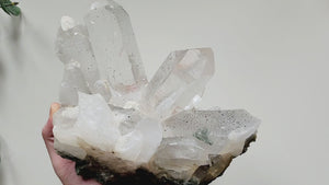 Himalayan Cathedral Quartz with Chlorite Rutile & Anatase || Rare