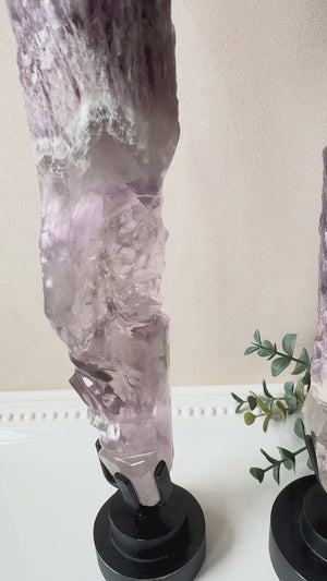 Bahia Amethyst Root Skull with Rotating Stand || Brazil || Pitico