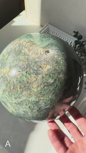 Moss Agate Sphere with Rotating Wood Stand || XL Showpiece