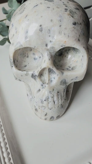 White Labradorite Skull || India