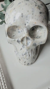 White Labradorite Skull || India