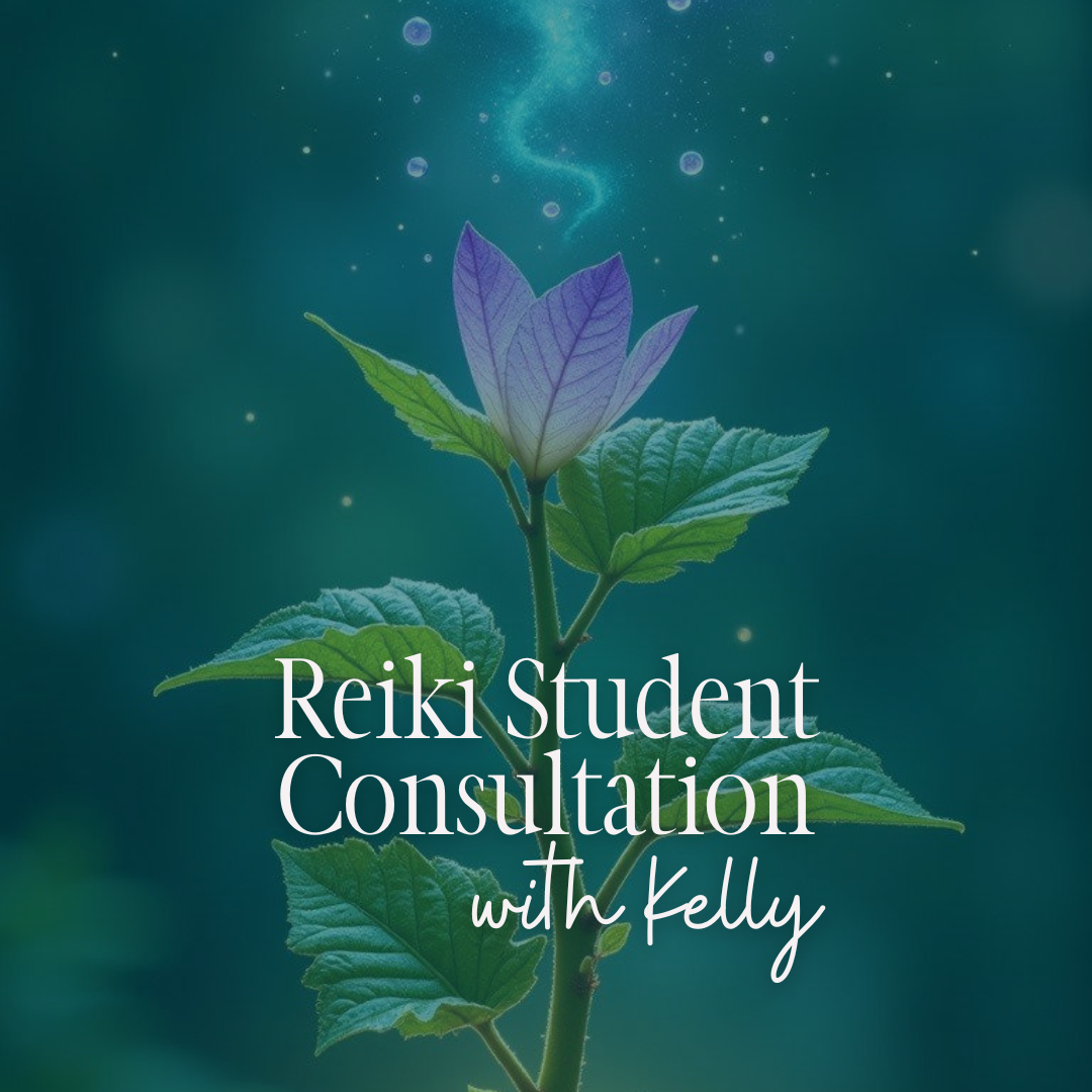 Reiki Student Consultation with Kelly